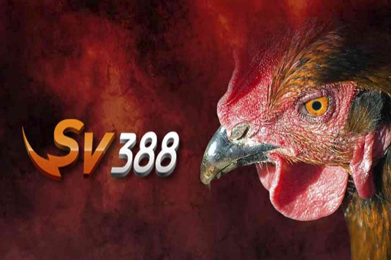 Sv388 - nhà cái uy tín tại thị trường Việt Nam